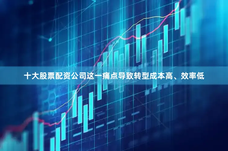 十大股票配资公司这一痛点导致转型成本高、效率低