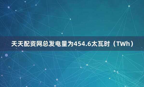 天天配资网总发电量为454.6太瓦时（TWh）