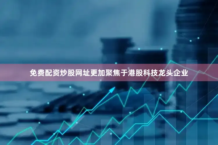 免费配资炒股网址更加聚焦于港股科技龙头企业